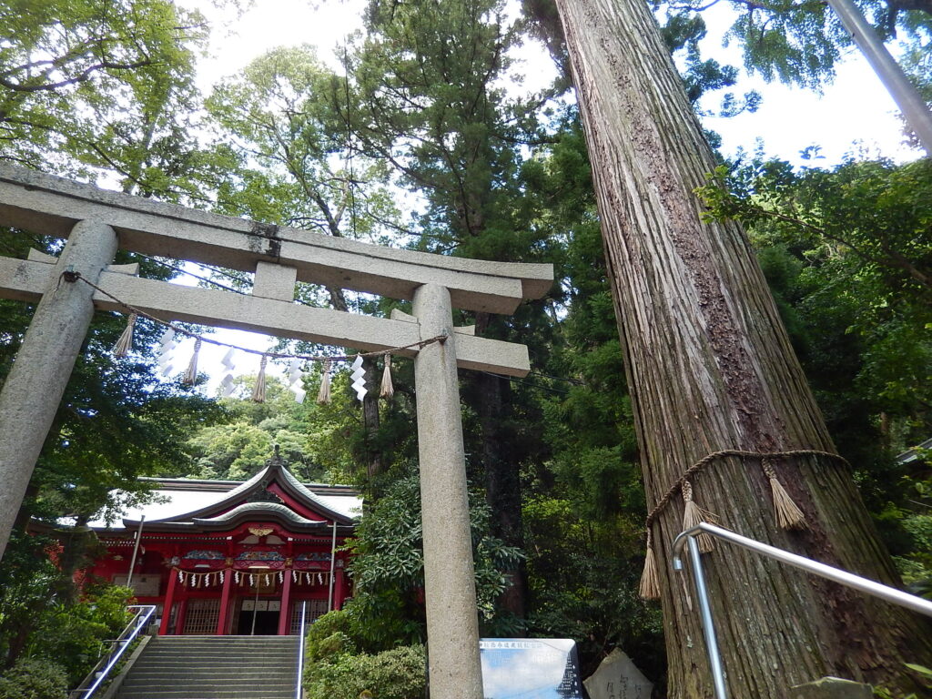 shrine and cedar trees